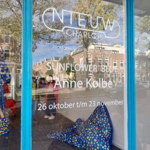 doorkijkje naar binnen